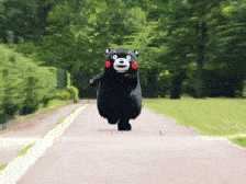 微信图片_20200908010736.gif