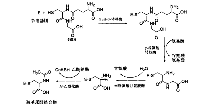 pagenumber_ebook=572,pagenumber_book=554