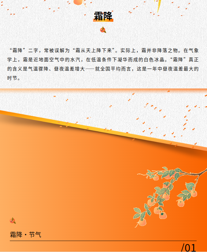 image.png?v=1792916092605