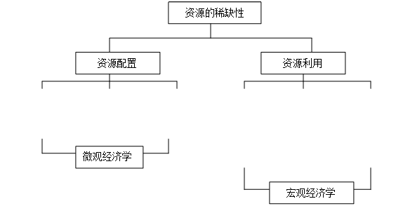 文本框: 生产什么,文本框: 如何生产,文本框: 为谁生产,文本框: 失业与通货膨胀,文本框: 经济波动经济增长,文本框: 开放经济