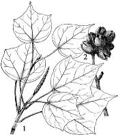 pagenumber_ebook=140,pagenumber_book=140