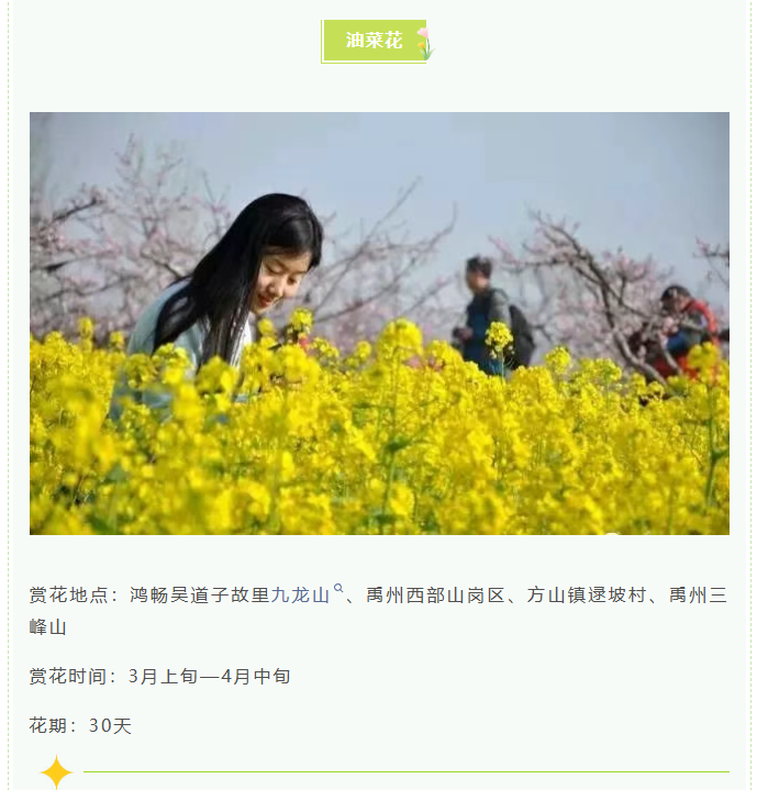 d8b345cb78c35a69027a4396a7c68fcfpng