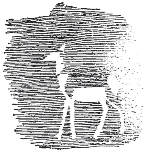 pagenumber_ebook=252,pagenumber_book=244