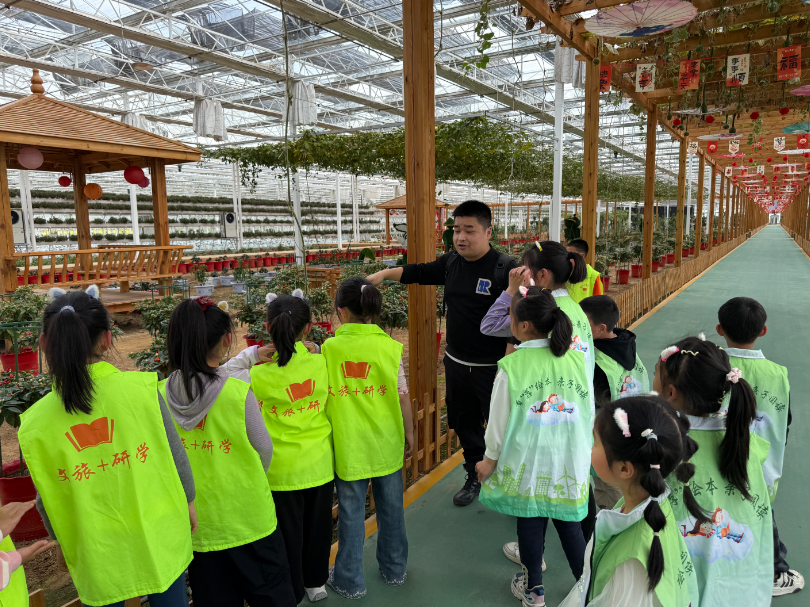 84780b01-5d65-49d2-9dd7-a375830ded53.png?v=1776218145071