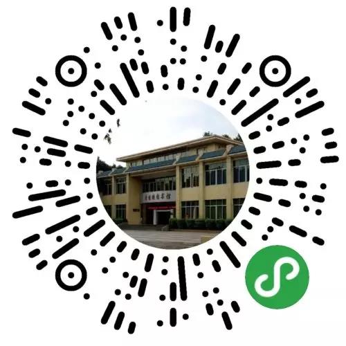 4 4.jpg?v=1765894075457