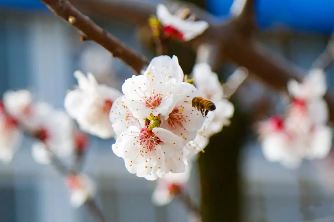 微信图片_20210406102536 微信图片_20210406102536.jpg