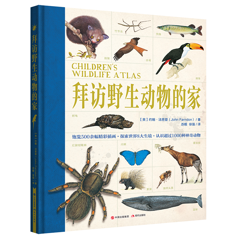 ebf60c2098324ce04eb02e2384b4db67