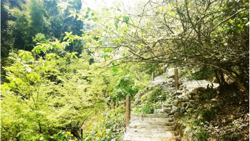 微信图片_20200424001454 微信图片_20200424001454.png