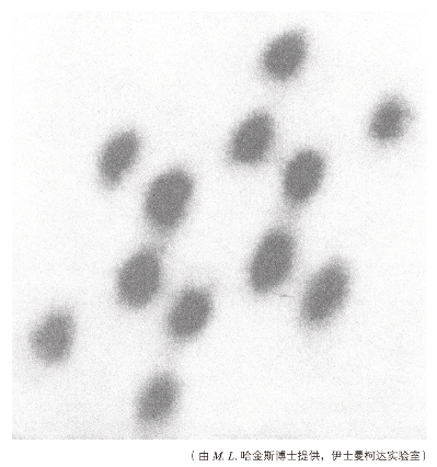 pagenumber_ebook=327,pagenumber_book=323