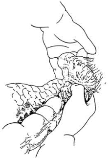 pagenumber_ebook=101,pagenumber_book=86