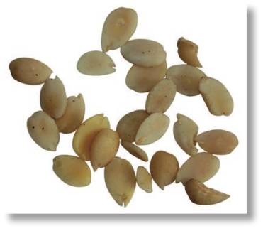 pagenumber_ebook=184,pagenumber_book=171