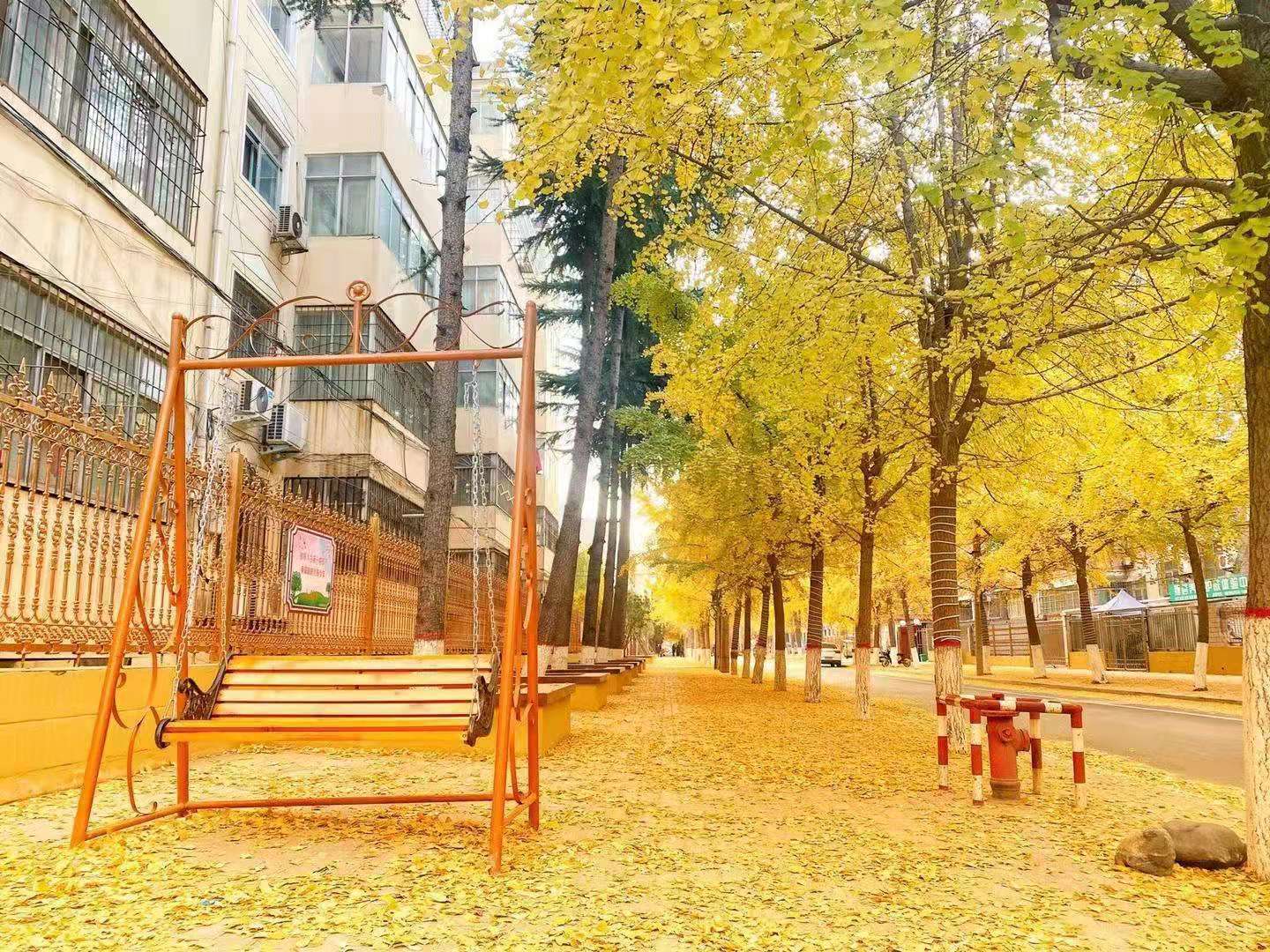 微信图片_202012141726184