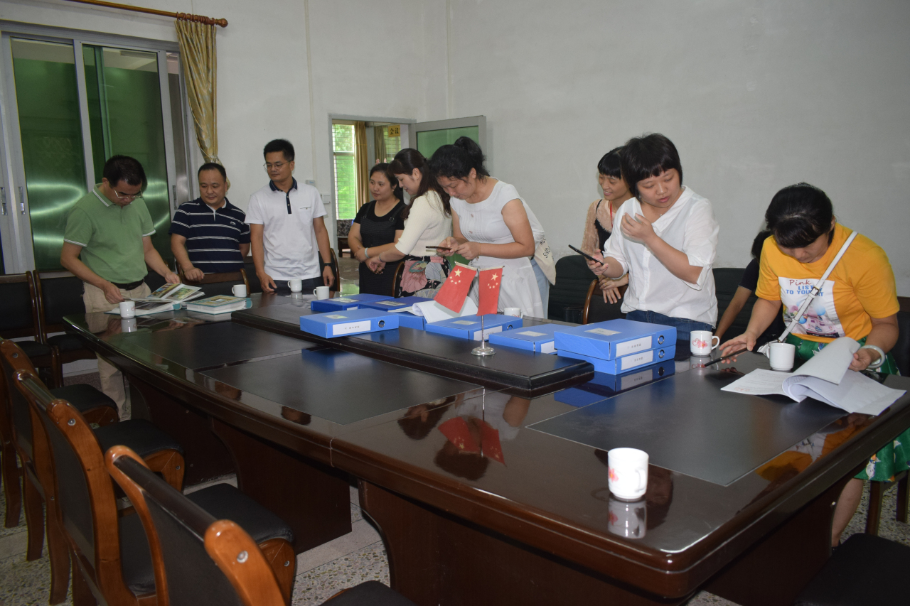 6 6.jpg?v=1765863103519