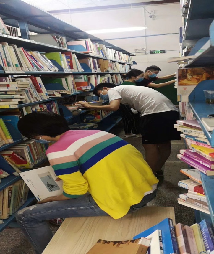 2019062640884065 2019062640884065.jpg?v=1764816252384