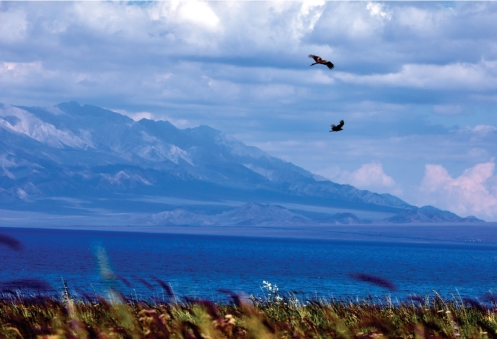 pagenumber_ebook=102,pagenumber_book=91