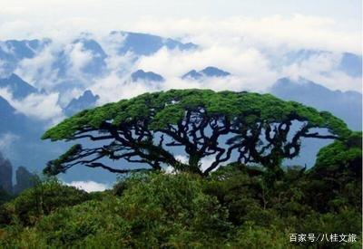 a686c9177f3e6709ad000ce643b6fa38f8dc5519 a686c9177f3e6709ad000ce643b6fa38f8dc5519.jpg