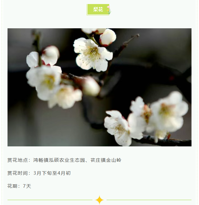 739894eab00c5b27f88942252b858803png