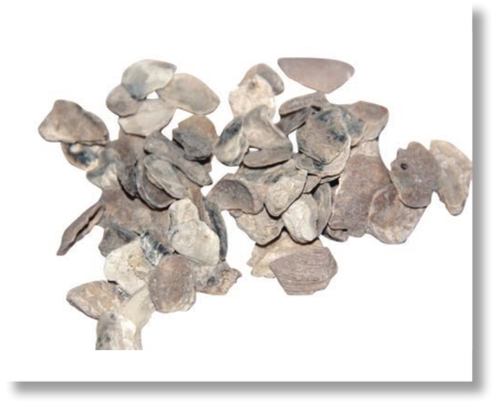 pagenumber_ebook=235,pagenumber_book=222