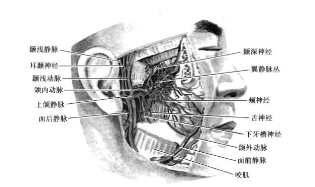 pagenumber_ebook=105,pagenumber_book=96