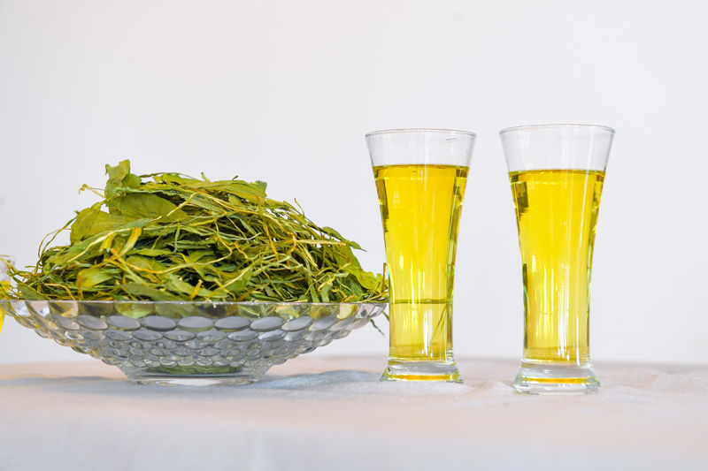 灯盏花 灯盏花.jpg