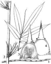 pagenumber_ebook=130,pagenumber_book=130