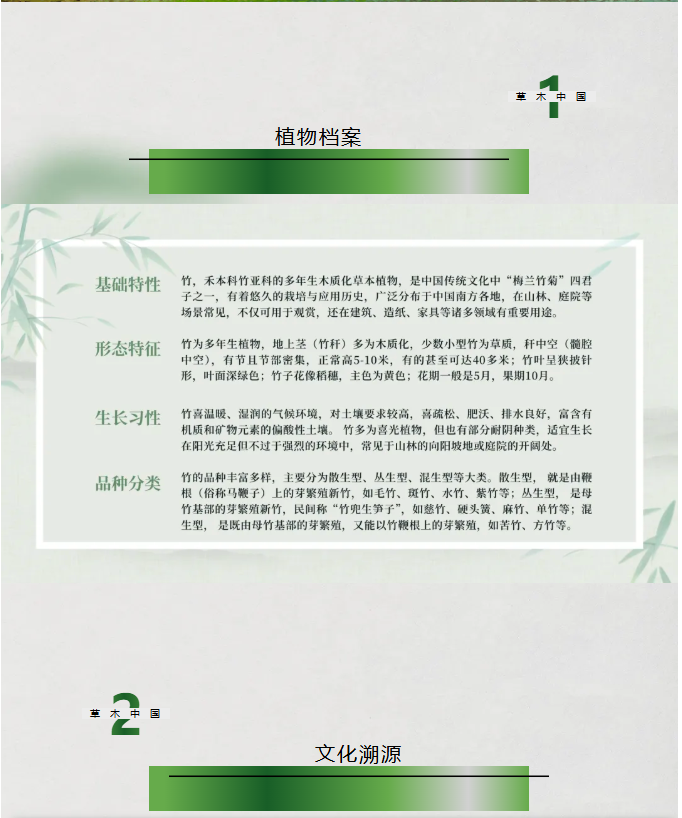 image.png?v=1762126139768