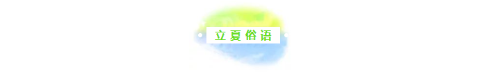 图片.png?v=1732530007155