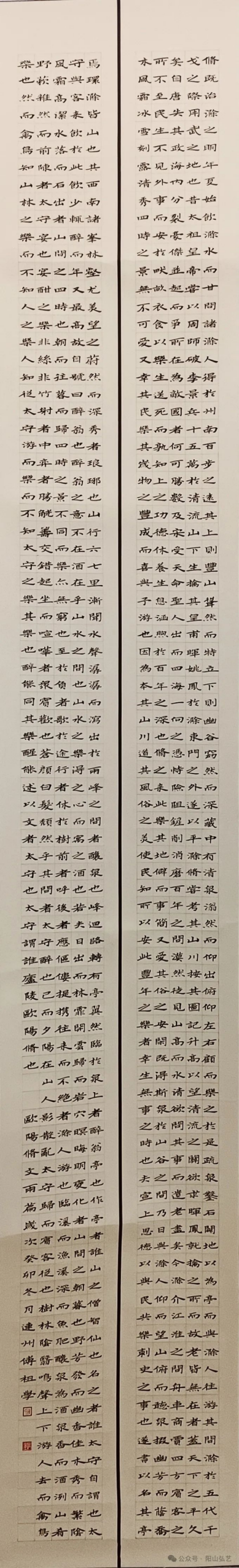 20 20.jpg?v=1772870153787