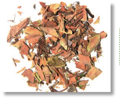 pagenumber_ebook=122,pagenumber_book=109