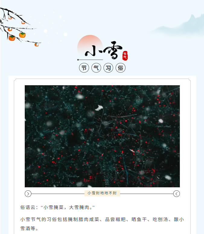 image.png?v=1766278508483