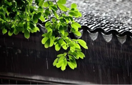 image image.png?v=1770180481224