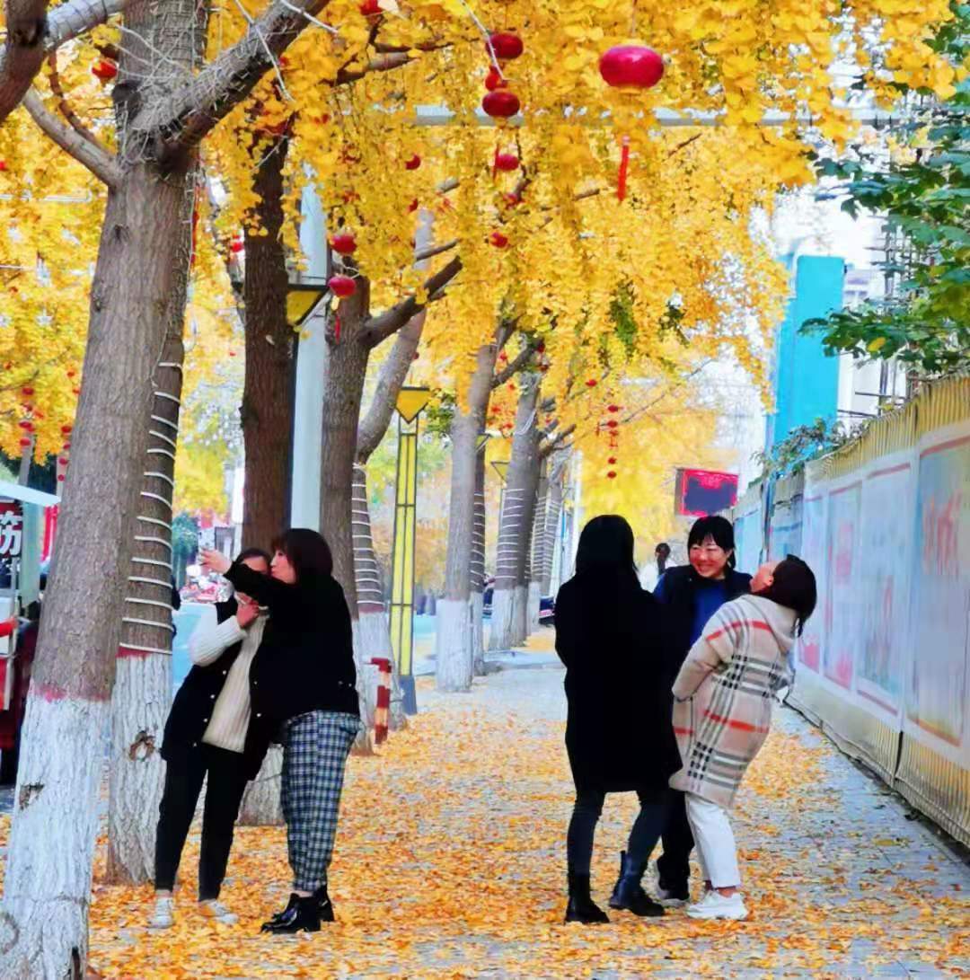 微信图片_20201214200535