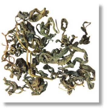 pagenumber_ebook=58,pagenumber_book=45