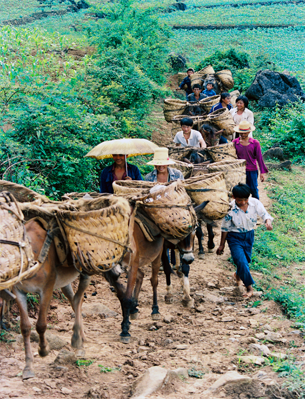 龙甸古驿道遗址01 龙甸古驿道遗址01.png