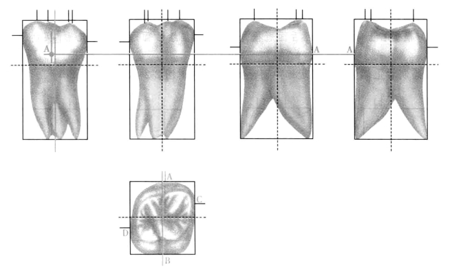 pagenumber_ebook=186,pagenumber_book=177