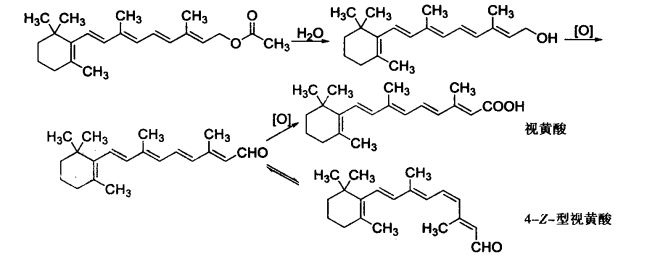 pagenumber_ebook=519,pagenumber_book=501