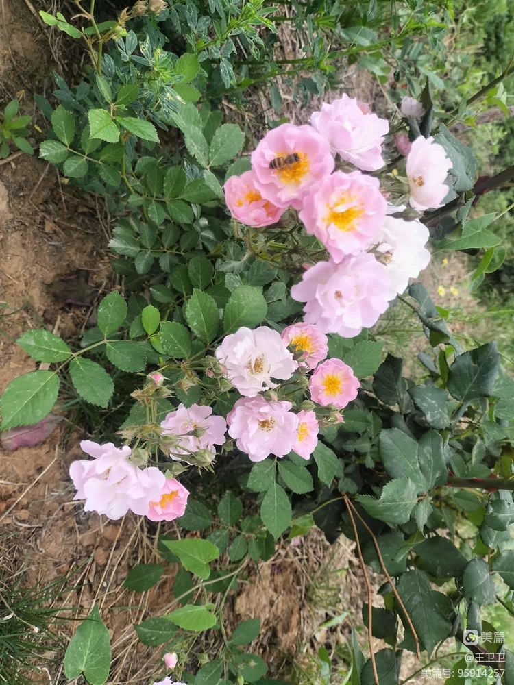 55259abd8ce0429984e867593061ceb3