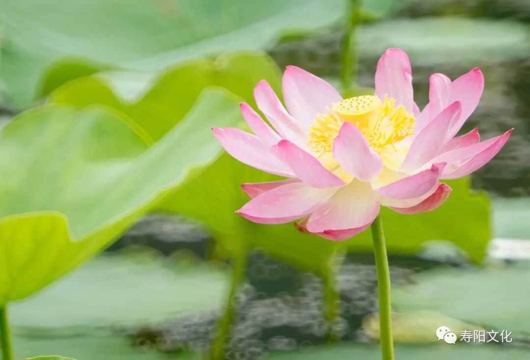 微信图片_20221009095418