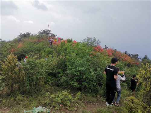 微信图片_20200503133532 微信图片_20200503133532.jpg