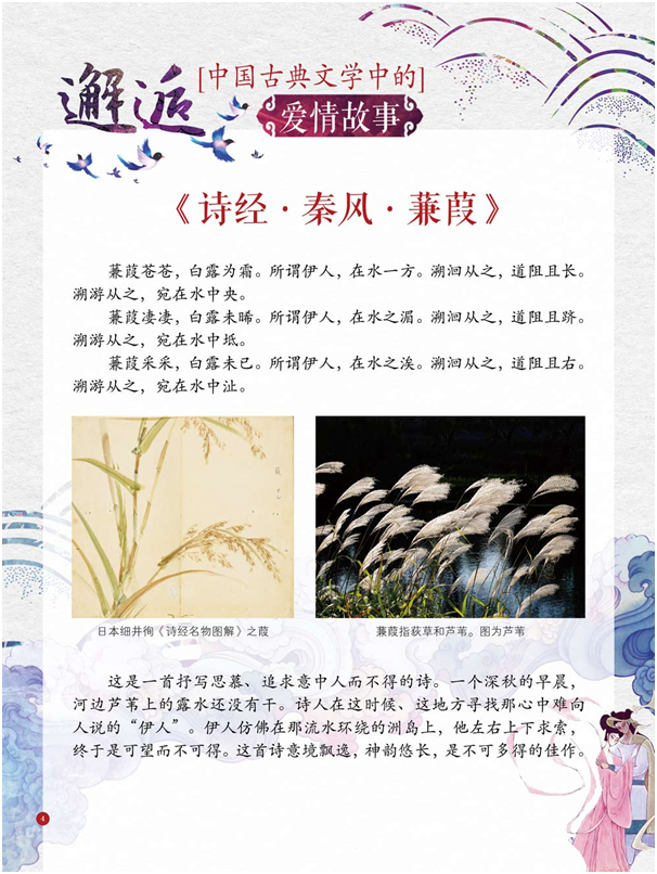 IMG_7331 IMG_7331.png?v=1764469173344