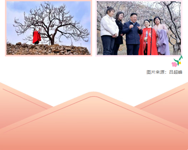 978d1d9586e22c72ff40256b57eb310bpng