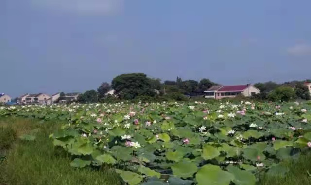 6 6.png?v=1765771983196