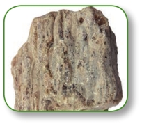 pagenumber_ebook=229,pagenumber_book=216