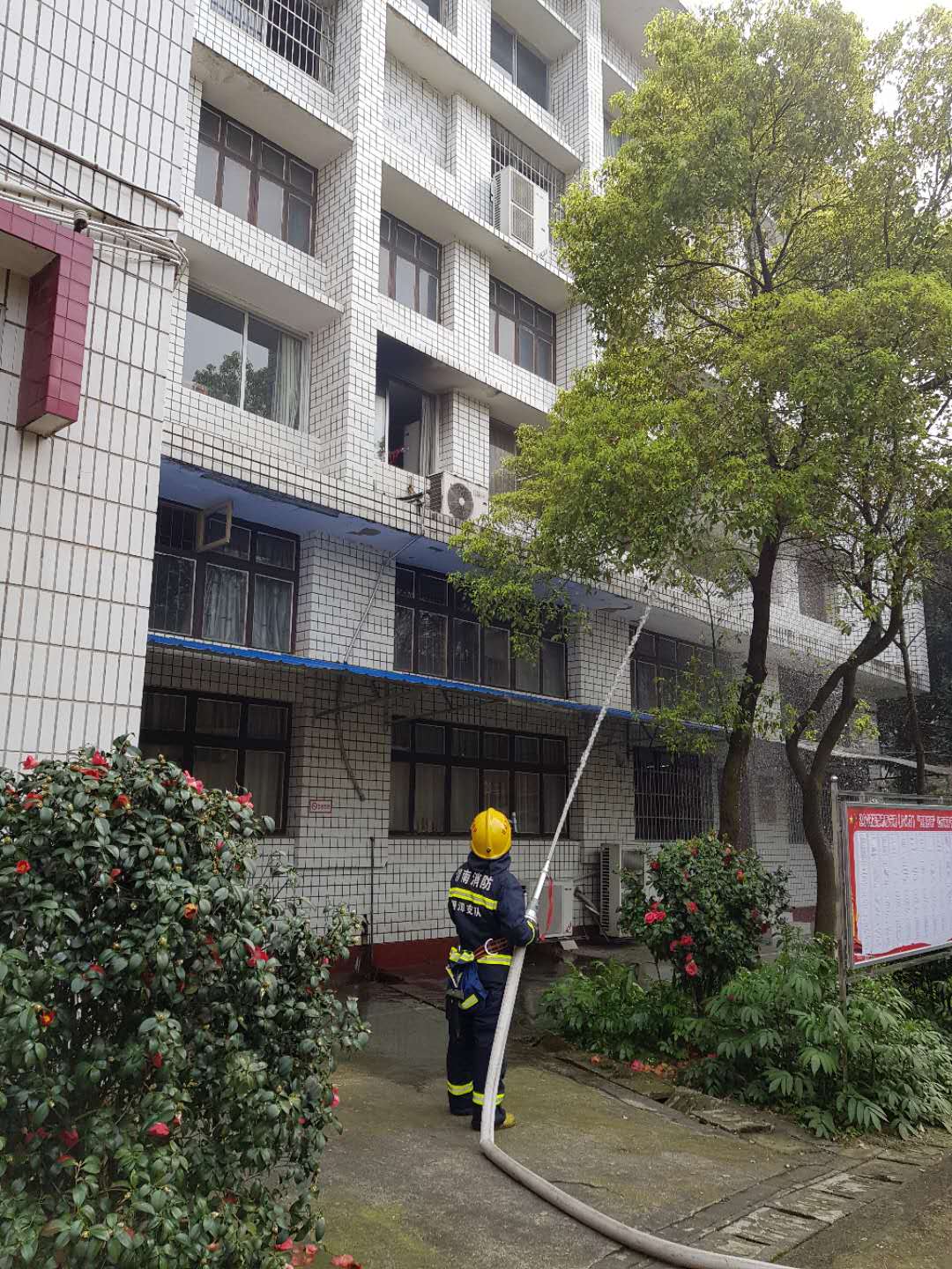 2019040151446329 2019040151446329.jpg?v=1764818132086