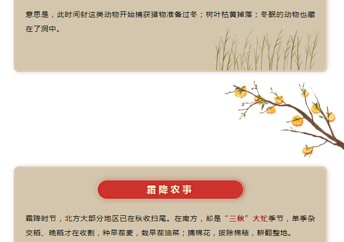 image.png?v=1750226782663