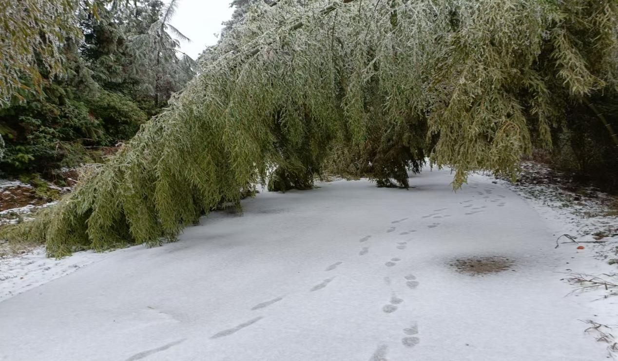 wps_doc_8 wps_doc_8.jpeg