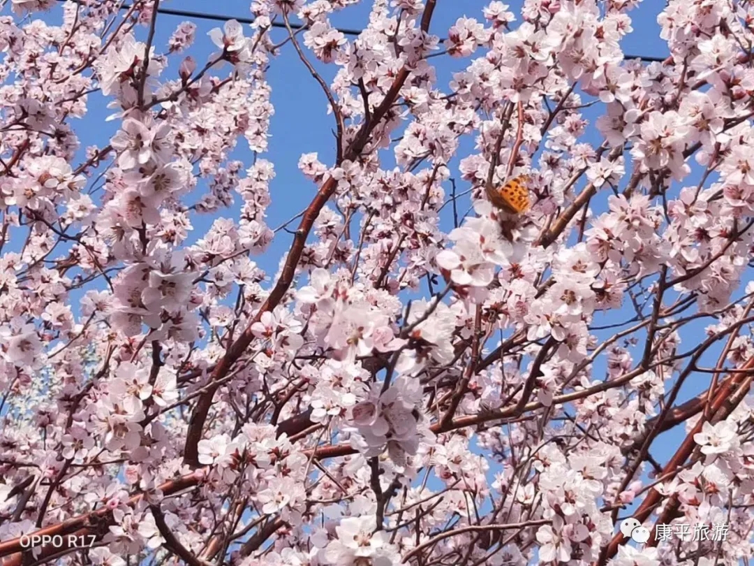 640.webp (2) 640.webp (2)