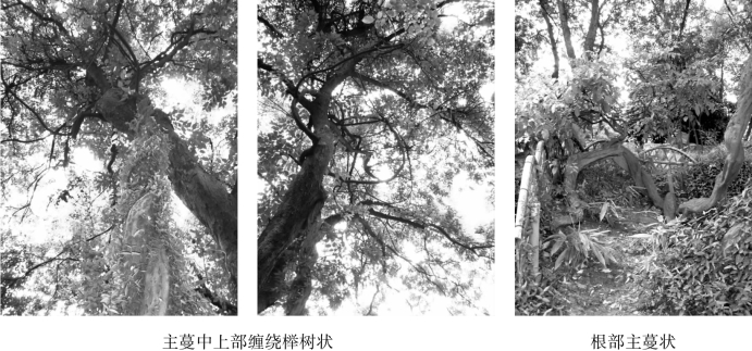 pagenumber_ebook=128,pagenumber_book=128