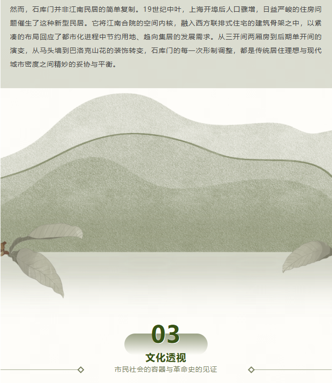 image.png?v=1788234413239