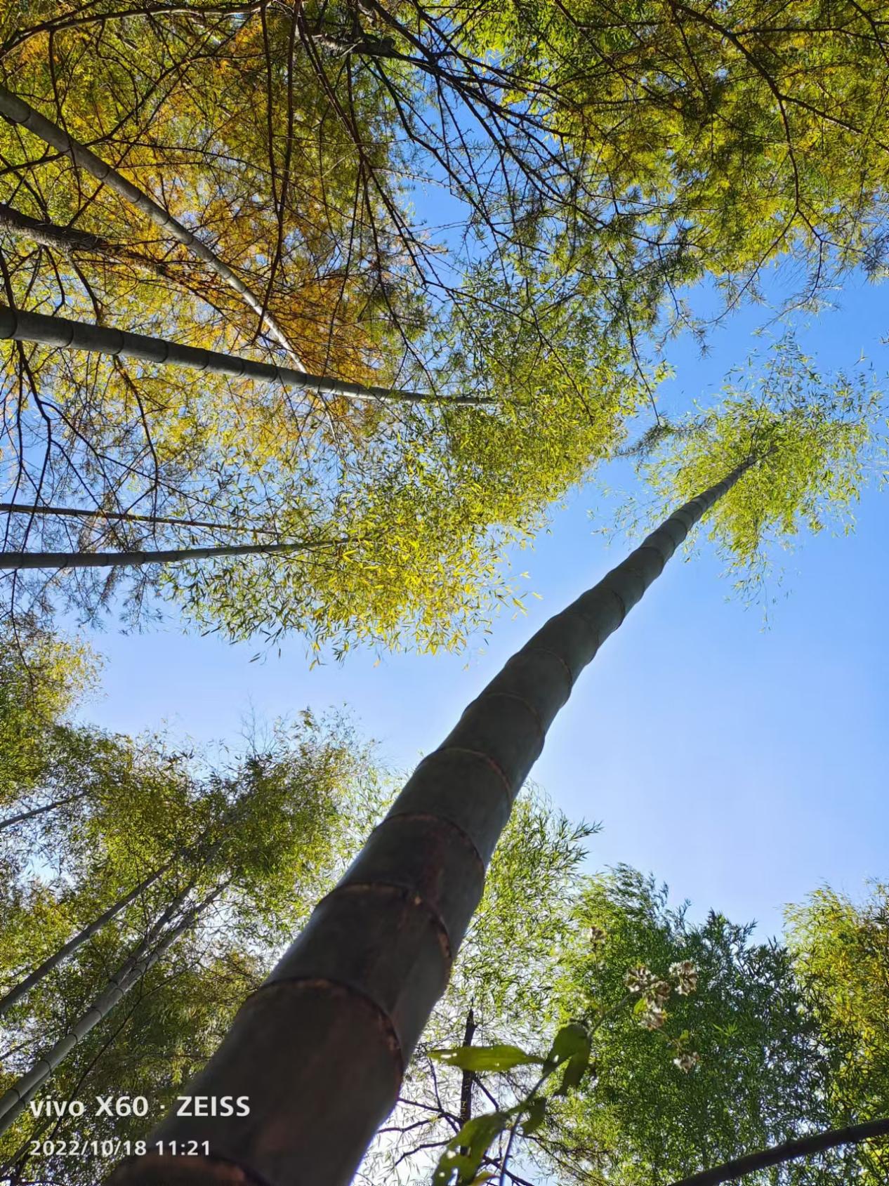 image10 image10.jpeg